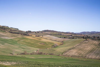 Scenic view of agricultural field against clear sky