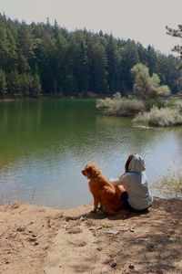 Dog sitting by lake against trees