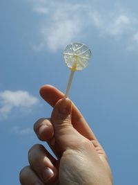 Cropped hand holding lollipop against sky