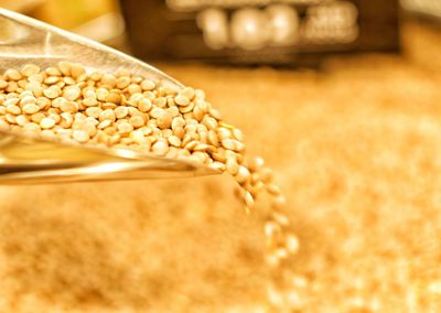 Close-up of wheat on table