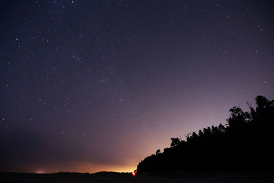 Low angle view of silhouette trees against star field in sky at night