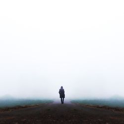 Rear view of man standing on landscape