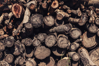 Full frame shot of logs in forest