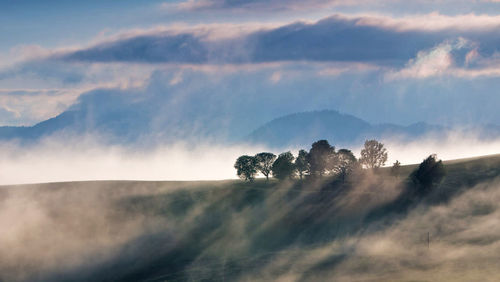 Scenic view of landscape against sky