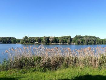 Scenic view of lake against clear blue sky