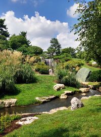 Scenic view of grassy field against sky