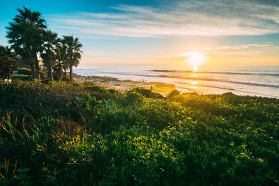 Scenic view of sea against sky during sunset