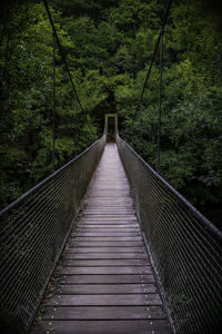 View of footbridge in forest