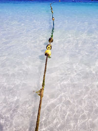 High angle view of chain on shore