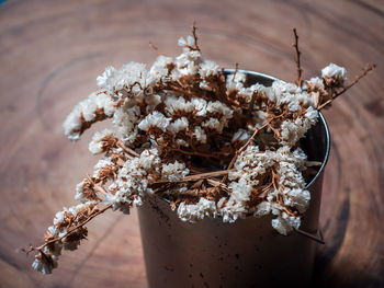 Close-up of white flowers on table