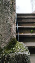 Close-up of stone wall