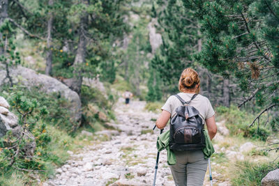 Rear view of man walking in forest