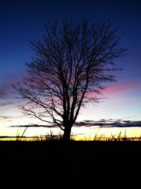 Silhouette of bare trees on landscape at sunset