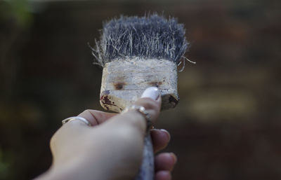 Close-up of hand holding ice cream