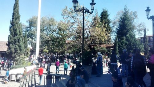 People on trees against sky