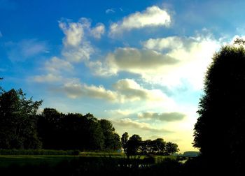 Silhouette of trees on landscape against cloudy sky