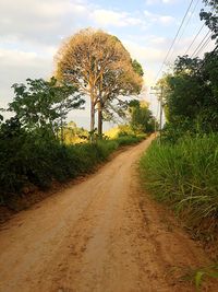 Dirt road amidst trees on field against sky