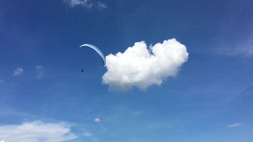 Low angle view of bird flying against blue sky