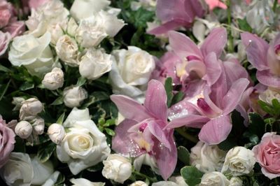 Full frame shot of pink flowers