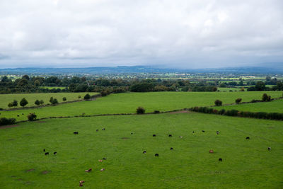 Scenic view of green landscape against sky