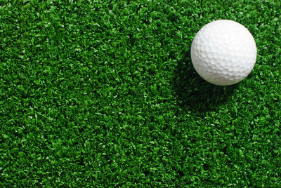 Close-up of ball on grassland