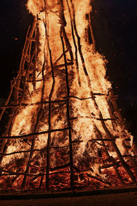 Close-up of fire in forest at night
