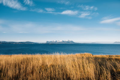 Scenic view of field and sea against sky