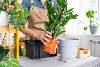 Midsection of woman holding potted plant