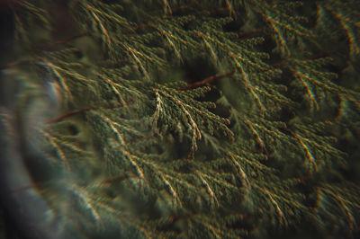 Detail shot of ropes