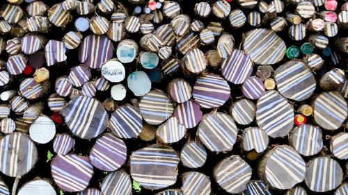 Full frame shot of multi colored stacked logs