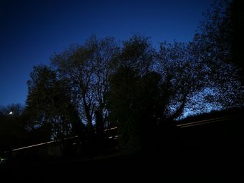 Low angle view of silhouette trees against sky at night