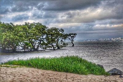 Scenic view of beach against cloudy sky