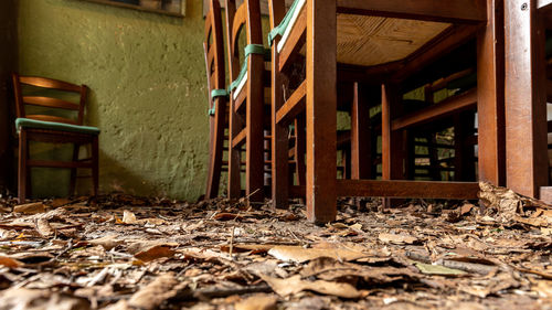 Fallen leaves in abandoned building