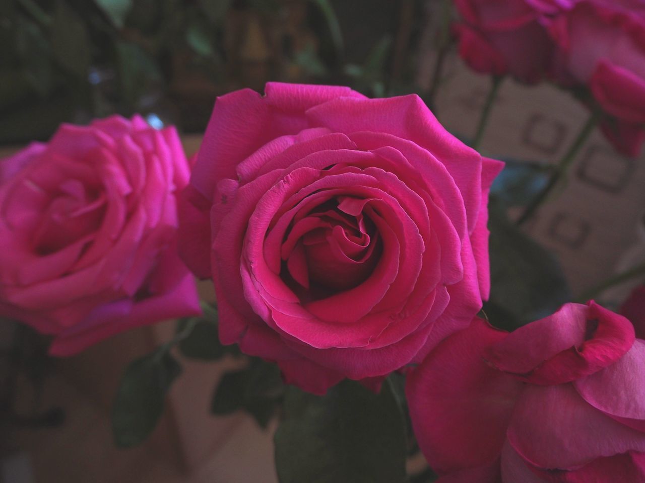 CLOSE-UP OF ROSE BOUQUET