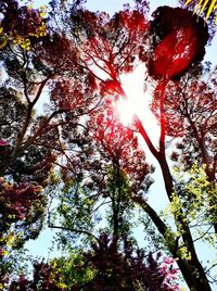 Low angle view of trees against sky