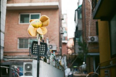 Close-up of stuffed toy on street against building