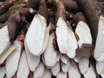 Close-up of logs