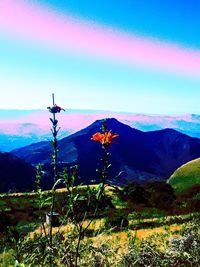 Scenic view of mountains against clear blue sky