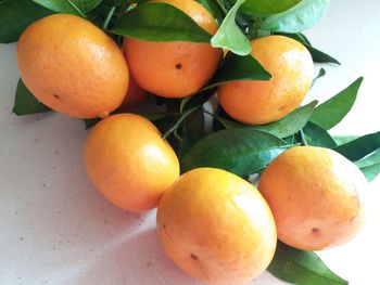 Close-up of orange fruits on table