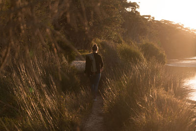 Rear view of person walking on land golden hour