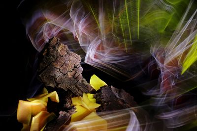 Digital composite image of food against black background