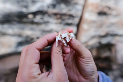 Close-up of hand holding bone