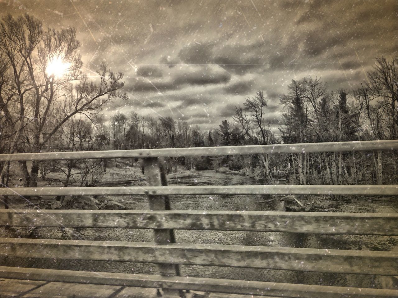 tree, sky, railing, cloud - sky, bare tree, tranquility, fence, wood - material, nature, tranquil scene, built structure, branch, sunlight, outdoors, no people, cloudy, silhouette, water, scenics, beauty in nature