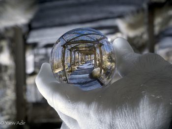 Close-up of hand on snow