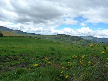 Scenic view of cloudy sky