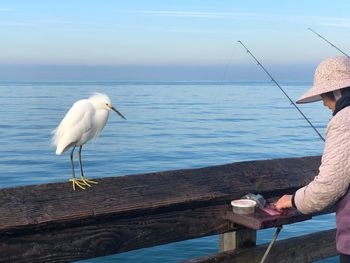 View of birds on sea shore against sky