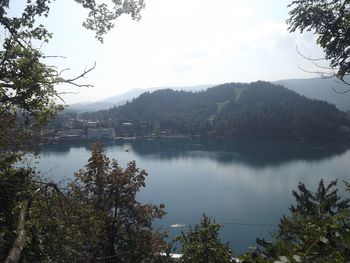 Scenic view of lake by trees against sky