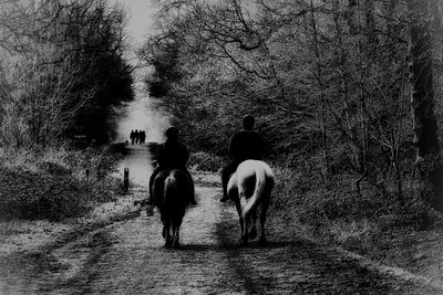 Rear view of people walking on plants