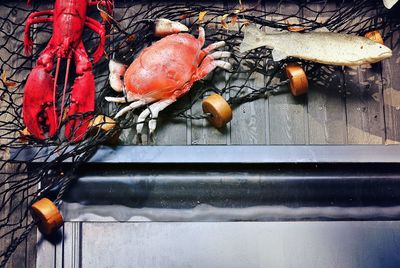 High angle view of dead fish and crab on boat