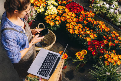 From above side view of female entrepreneur standing at counter with laptop and checking message on smartphone while working in greenhouse with margarita flowers